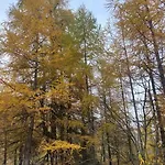 木屋 Village De D'oignies *