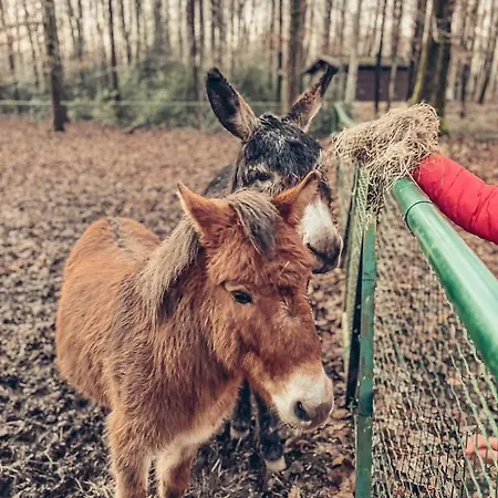 Σαλέ Village De D'oignies