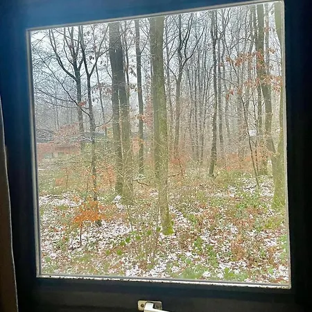 Village De D'oignies Petit Mesnil