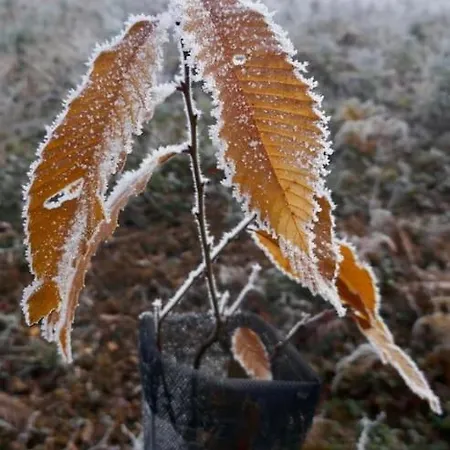 Village De D'oignies Σαλέ Petit Mesnil