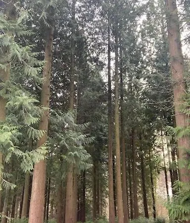 Village De D'oignies Σαλέ Petit Mesnil