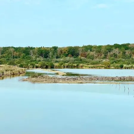 Village De D'oignies