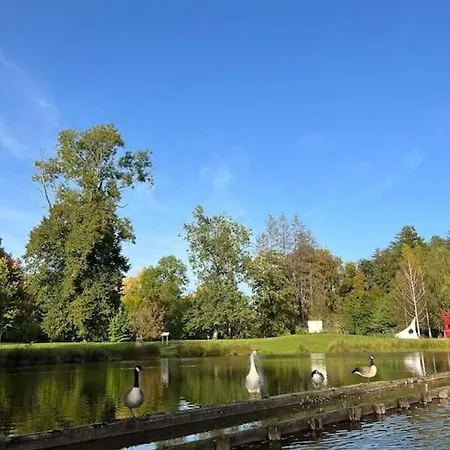 Village De D'oignies * Petit Mesnil