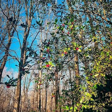 Σαλέ Village De D'oignies Petit Mesnil