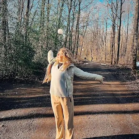 Village De D'oignies Petit Mesnil