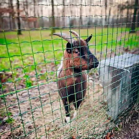 Village De D'oignies Σαλέ