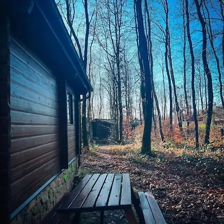 Village De D'oignies