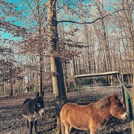 Village De D'oignies Σαλέ